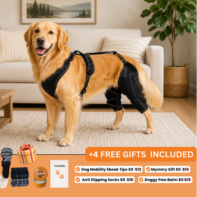 Cumulo Dog Dual Brace