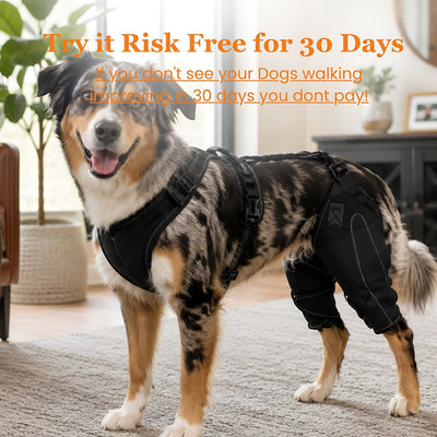 Cumulo Dog Dual Brace