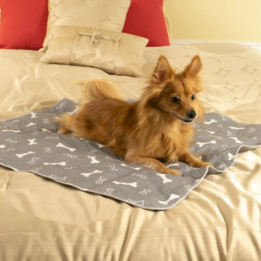 The last potty pad you'll